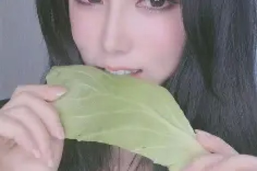 鉴黄师免费下载安装安卓最新版本